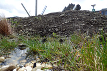Wildflower planting Bay Campus 3
